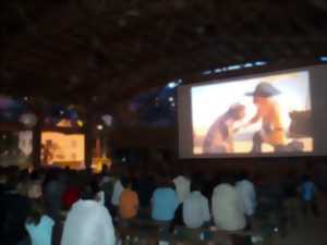 photo Ciné plein air d'été