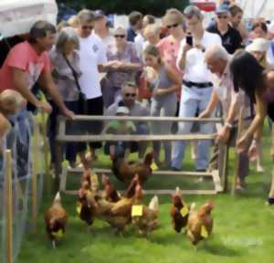 photo Fête de l'oeuf