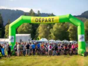 photo Trace Vosgienne VTT