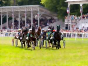 COURSES HIPPIQUES VITTEL