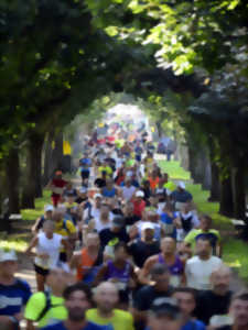 Marathon Touraine Loire Valley