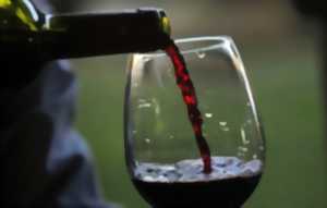 photo Foire aux Vins  et aux Produits Régionaux