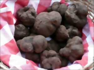 Fête de la truffe à Lalbenque