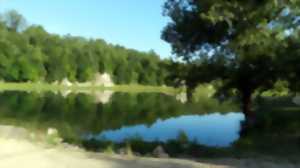 photo Les concerts de la ferme auberge La Veillée Gourmande