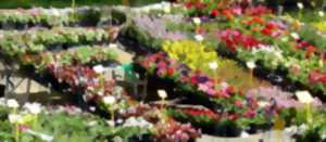 Marché aux Fleurs et produits régionaux à Issendolus