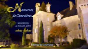 photo Visite Nocturne du Château de Cénevières