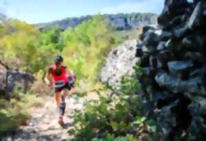 Trail vallée du Célé