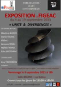 photo Exposition du Forum lotois d'art contemporain