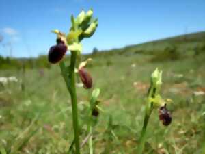 photo Les Journées Coste