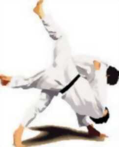 photo Gala de judo