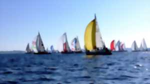 photo La Régate des I.U.T