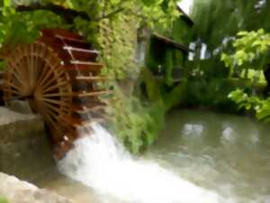 photo Rendez-vous aux jardins au Moulin de Cocussotte