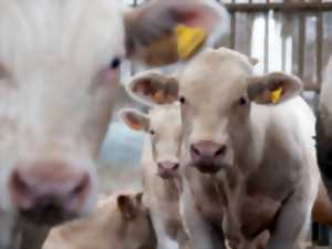 photo Ferme Daul-Boime : de l'alimentation animale à la fertilisation des sols