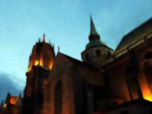 photo Visite guidée : portrait de femmes