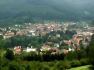 photo Sentiers Plaisir : Rothau, ville du fer