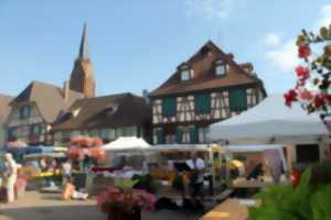 photo Marché du terroir