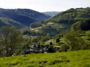 Sentiers Plaisir : Le vallon de Barembach et la côte des Vignes