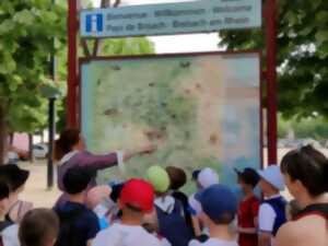 photo Visite pour enfants de la ville et des remparts de Neuf-Brisach