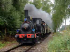 photo Circuit train à vapeur et bateau sur le Rhin